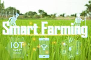 el concepto de agricultura es un nuevo camino de utilizando tecnología a ayuda en el trabajo llamado inteligente agricultura. foto