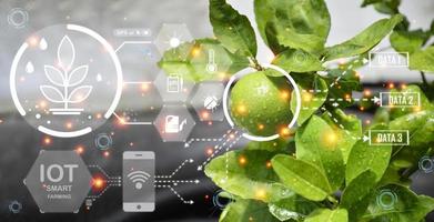 The concept of farming is a new way of using technology to help in the work called Smart Farming. photo