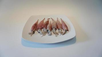 calamar Mariscos en plato en blanco. foto
