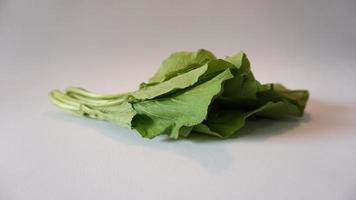 Chinese green mustard on white background photo