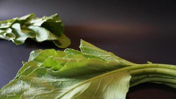 Chinese green mustard on black background photo