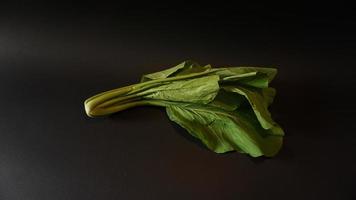 Chinese green mustard on black background photo