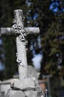 Inglés cementerio en florencia maravilloso estatuas foto