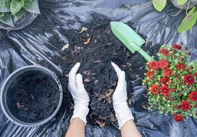 Hands holding abundance soil for agriculture or preparing to plant  Testing soil samples on hands with soil ground background. Dirt quality and farming concept. Selective focus on black soil in front photo