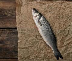 fresh whole sea bass fish on brown crumpled paper photo