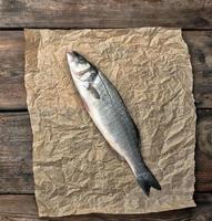 fresh whole sea bass fish on brown crumpled paper photo