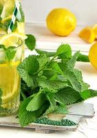 fresh bunch of mint and a glass with lemonade on a wooden board photo