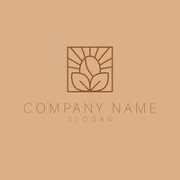 Coffee bean and leaves luxury logo template. Flat logo design for cafe. vector