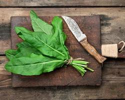 bunch of fresh green sorrel leaves and old brown cutting board photo