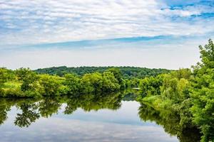 Beautiful grass swamp reed growing on shore reservoir in countryside photo