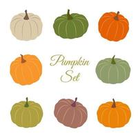 Set of colorful pumpkins. Vector illustration of seasonal autumn vegetable. Pumpkin isolated on white background.