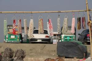 jewelry items made of sea snails displayed in seaside shops. photo