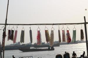 jewelry items made of sea snails displayed in seaside shops. photo