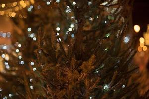 detalle de ramas de arbol de navidad con luces foto