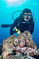 Scuba diver underwater near stone fish in the ocean photo