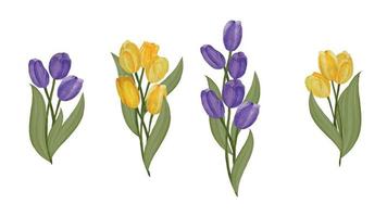un conjunto de amarillo y púrpura tulipanes pintado a mano en acuarela. vector