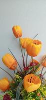 Tulips with white wall background photo