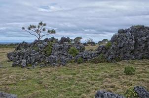 Tonga Polynesia Eua Island coast view photo