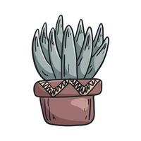 Vector doodle illustration of a house plant succulent in a pot.