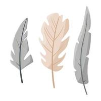 Vector collection of feathers isolated on white background.