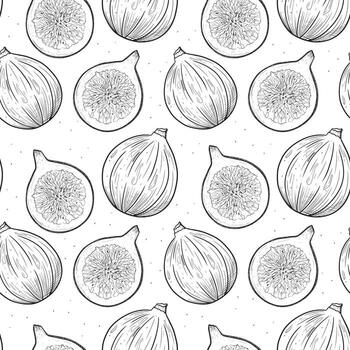 vector sin costura modelo con monocromo ilustraciones de crudo higos en bosquejo estilo.