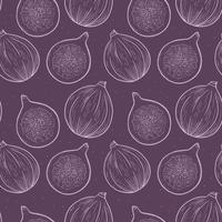 Ripe fig fruit in sketch style, vector seamless purple pattern.
