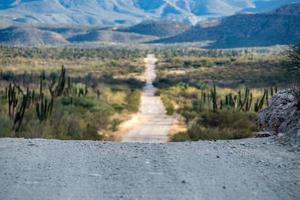 baja california desierto interminable carretera paisaje foto