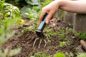 trabajo en el jardín. hierba el césped con un herramienta foto