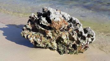 Stones rocks corals turquoise green blue water on beach Mexico. video