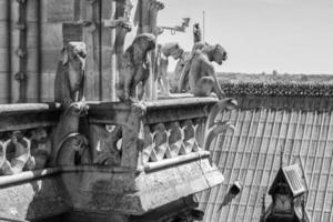 notre dame gorgoyle parís vista paisaje de la ciudad foto