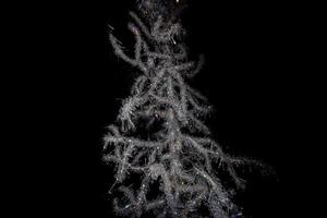 light xmas tree crystals background soft texture photo