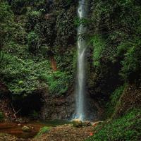 Waterfall in the middle of the forest photo