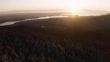 lago desde un pino bosque durante un puesta de sol video