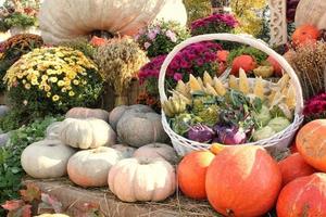 Colourful organic pumpkins and vegetables in basket on agricultural fair. Harvesting autumn time concept. Garden fall natural plant. Thanksgiving decoration. Festive farm rural background. Vegan food.