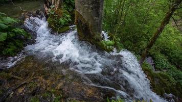 Wasserfall im das Wald Freiheit video