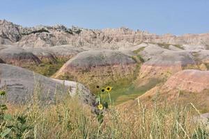 asombroso paisaje de amarillo montículos y páramos foto