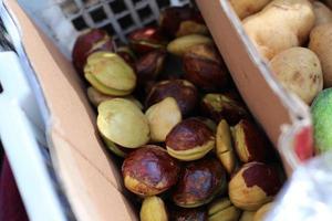 Jengkol in the basket of a peddler in a village in Indonesia photo