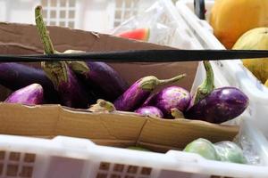 Eggplant in a box Indonesian traditional trader photo