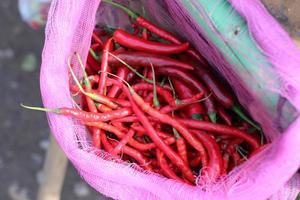 Piles of curly chilies and large red chilies in net sacks of Indonesian greengrocers photo