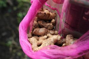 Ginger and turmeric in baskets or net sacks of Indonesian greengrocers photo