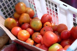 tomatoes in the vegetable container indonesian traditional trader photo