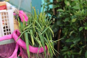 verde cebollas colgando en cestas o red sacos de indonesio fruterías foto