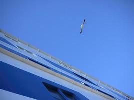 Low angle view of a seagull flying in the air near a blue color giant cruise ship, spreading wing, beautiful blue sky white cloud background photo