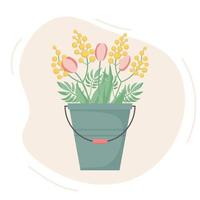 Spring bouquet of mimosas and tulips in a bucket. Cute vector illustration. Flat style.