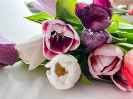ramo de flores de tulipanes en blanco foto