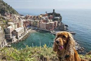Liguria Cinque Terre view with a dog photo