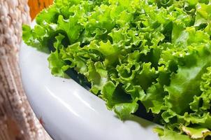 Fresco creciente lechuga hojas usado como principal ingredientes para ensalada en el jardín foto