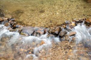 A small stream in the forest photo