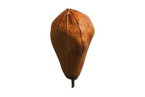 5046 Dried eggplants isolated on a transparent background photo