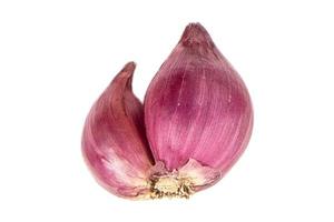 3241 Purple garlic isolated on a transparent background photo